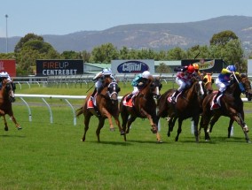 直播袋鼠体育，当科技赋能体育，观众如何成为赛事主角？