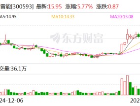 新雷能：公司将于2025年4月22日披露年报