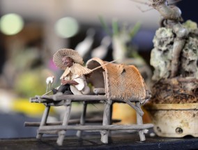 亚体育直播，亚洲赛事的数字化狂欢与体育文化的破圈革命