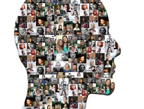 体育直播，数字时代的运动狂欢与社交新场景