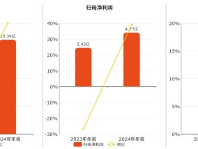 金徽股份：2024年年报净利润为4.77亿元