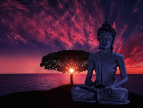 畅享顶级赛事！JRS体育免费直播带你沉浸式感受体育魅力