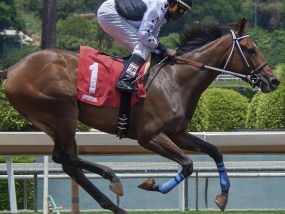 直播镜头下的钢铁舞者，解码奇马耶夫如何重塑体育娱乐新生态