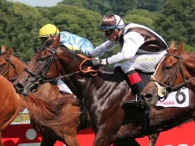 驰骋草原，直播未来，内蒙古体育直播的崛起