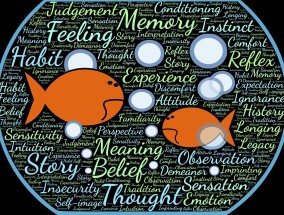 高校外卖配送权争夺战，校方授权 vs 学生权益如何平衡？