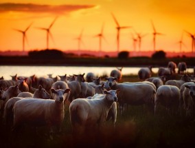 云端之城邂逅体育盛宴，禄劝直播带火乡村振兴