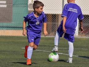 体育直播参与指南，从报名到开播的完整操作手册