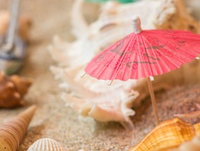 雨帘下的羽翼，一场关于生命的诗意观察