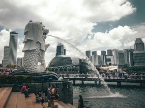 沉浸式观赛新体验，大园体育直播如何重塑体育赛事观看方式