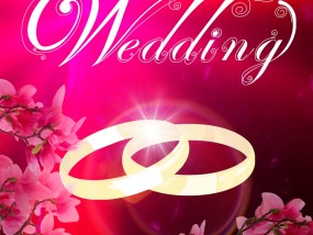 体育婚礼直播软件，让爱情与激情同框的革新之选