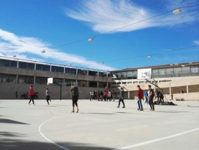 云端动起来 体育服务云上新—包头体育局开启直播新赛道