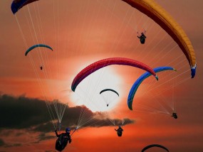 飞鲸体育直播官网，全方位打造沉浸式体育盛宴