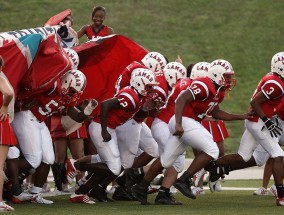 云端跃动·活力绽放—解码曲靖体育直播的多元魅力