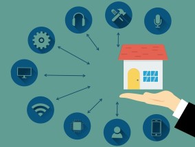 实时激情，智慧之选，在线体育彩票平台直播的崛起与未来