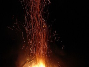 活力广东，屏幕生辉—电视直播如何点燃体育激情