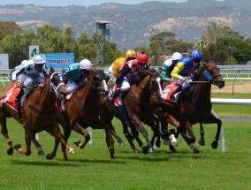 看体育赛事直播，一场没有终场的狂欢