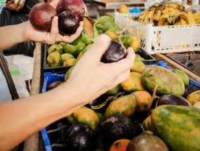 七七水果游戏机，虚拟果园里的资本狂欢与人性困局