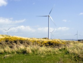 360度生态视角，绿色体育直播如何重塑体育未来？