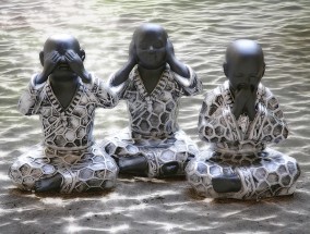 小毛的松弛哲学，当非洲狮学会佛系，人类观众集体破防