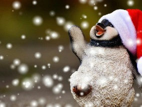 数字体育新生态，腾讯体育与企鹅直播的共生关系与未来图景