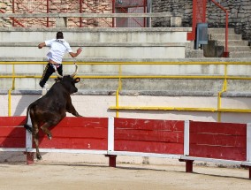 24小时赛事盛宴！山猫直播体育网站打造沉浸式观赛新体验