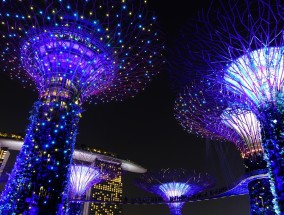 亚协体育直播，亚洲体育传媒的破局者与未来图景