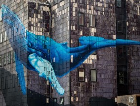 南京体育频道NBA直播，城市体育文化的激情盛宴