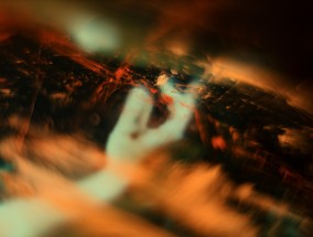 老狼网站的秘密，仙踪林中的数字与自然的交响