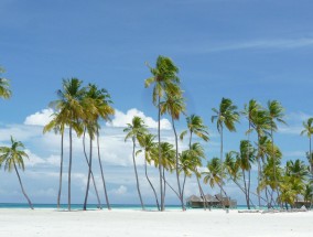 中国游客马尔代夫浮潜溺亡事件，安全警示下的旅游反思