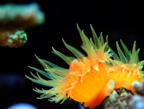 深蓝底气，大海的磅礴力量与生命根基