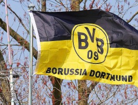 全球足球迷必看！2023年最权威足球官网直播视频指南