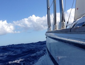 体育平台真人直播带货，赛事直播新形态，流量变现新赛道