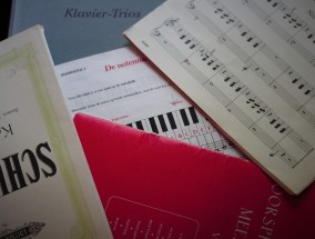 信誉之选，大发平台中口碑载道的顶级台子解析