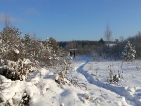 粤韵融冬 冰雪映岭南—广东体育直播全景呈现冬奥盛宴