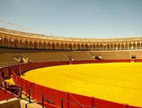 激情与荣耀，埃弗顿体育直播如何点燃球迷的足球之魂