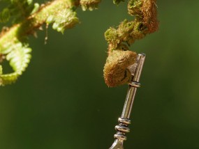 毒蛇出洞，解码毒蛇体育直播的颠覆性崛起与体育产业新生态