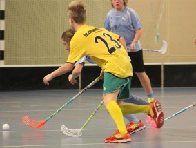 黑白绒球跃上赛场，体育直播中的企鹅元素如何颠覆传统观赛体验