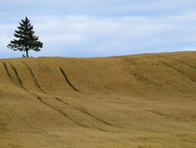 山水缙云，直播赋能—浙江缙云体育产业发展的创新实践
