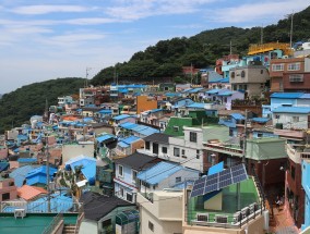 体育直播，中韩文化交融的无界赛场