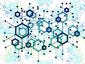 新蜂娱乐网投，重构娱乐产业资本生态的破局者