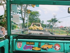 777水果游戏机单机版，指尖狂欢的甜蜜之旅