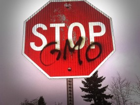 战狼28预测开奖网站深度解析，技术原理与风险警示