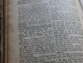 彩神IIV登录首页，官方入口与安全保障指南