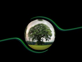 绿色赛场，体育直播如何助力可持续发展