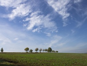 会昌体育直播，云端跃动，激活乡村体育新生态