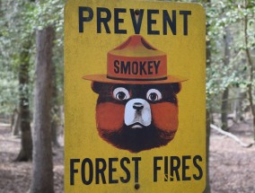 彩神大发官网下载指南，安全购彩必看防骗攻略