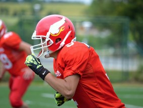 纬来体育龙蓉直播，体育娱乐化新标杆，专业与趣味碰撞的视听盛宴