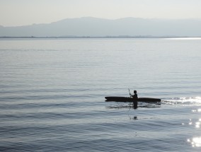 以专业为帆，以激情为桨—体育直播人的奋斗航程