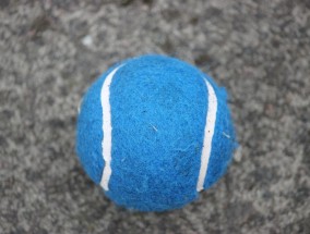 新浪体育，您的网球直播主场，见证每一场精彩对决