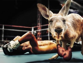 跃动澳洲！袋鼠NPA体育直播，激情与文化的碰撞